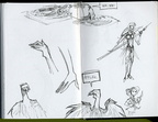 hand birds again