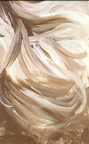 paint1